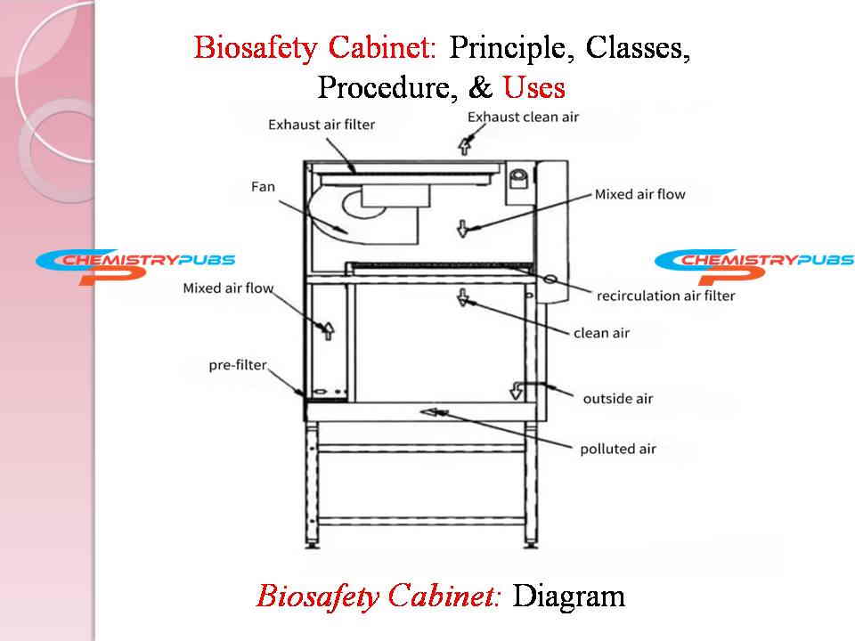 Biosafety Cabinet: Principles, Classes, Procedure, & Uses - Chemistrupubs