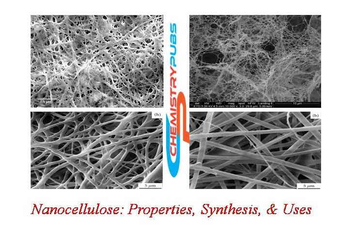 Nanocellulose: Properties, Synthesis, & Uses - Chemistrupubs